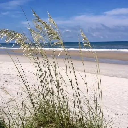 CLEAN AND BRIGHT BEACHFRONT COTTAGE. PERFECT FOR SMALL FAMILIES!