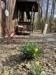 1 Playful Cub-Great Unbelievable Rates, Check it Out - 3-Star