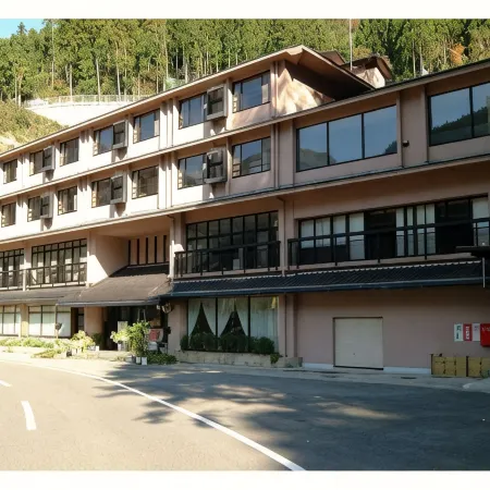 SHINIYAONSEN HOTEL KAZURABASHI