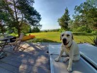 Beachfront Paradise in North Fork - Homestays