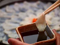 寶來莊酒店 - Wi-Fi