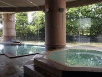 Sunhills Hotel - Hot Springs