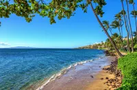 Beachfront condo in Maalaea - 2 Bedroom 2 Bath - Ground floor, AC!!! - Wifi