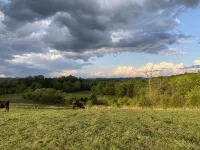 Luxury Tiny Home with River Views on 300 Acre Ranch - 4-Star