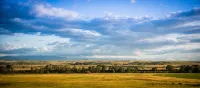 Right on the Yellowstone - 4성급