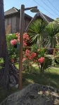 Turtle Beach Hotel - موقف سيارات