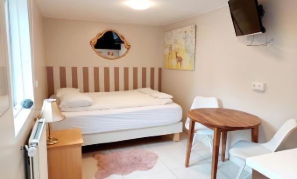 4. 이그들로 게스트..