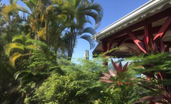 Le Rayon Vert - Hôtel & Restaurant Vue Sur Mer