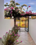 Trillo Bay Villas