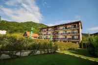 Pensiunea Danubia Hotels in 
