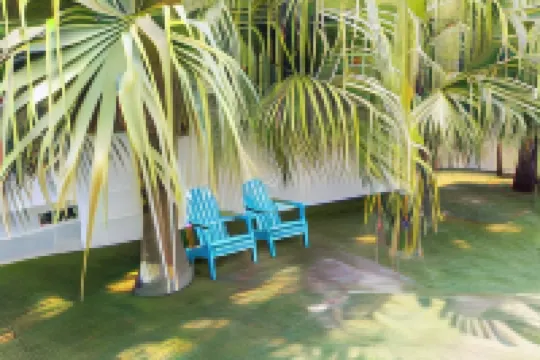 Hibiscus Motel Hotels near Walgun / Cape Byron