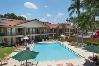 Ramada by Wyndham Temple Terrace/Tampa North Hotels in Temple Terrace