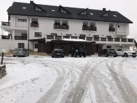 多梅尼烏爾瓦雷亞盧皮洛爾公寓 Sirnea住宿飯店