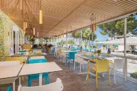 Sotavento Club Apartments - Adults Only Hotels in Torrenova