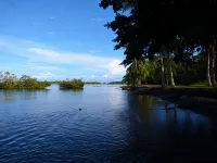 Corcovado Beach Lodge Hotels in Golfito