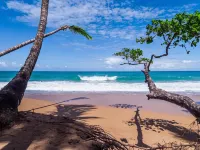 Playa Bluff Lodge