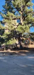 Tree House 1-bedroom cabin in Peyton with WiFi access - Chalets
