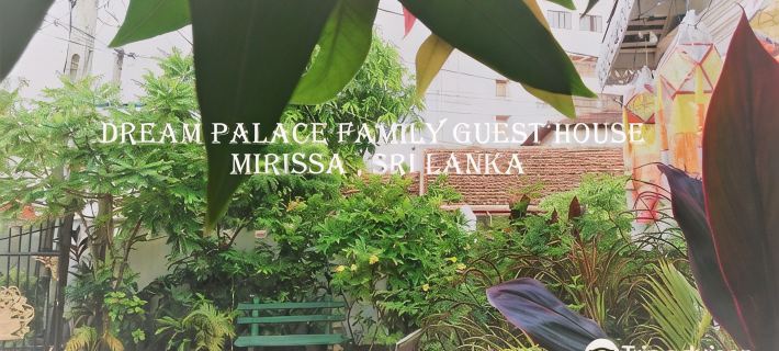 Dream Palace Family Guest House Mirissa Hotels in Mirissa