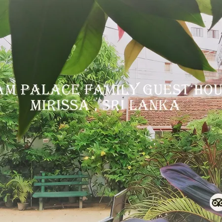 Dream Palace Family Guest House Mirissa