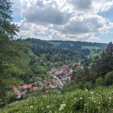 Time to recover! Cozy vacation apartment in the green Harz Mountains!