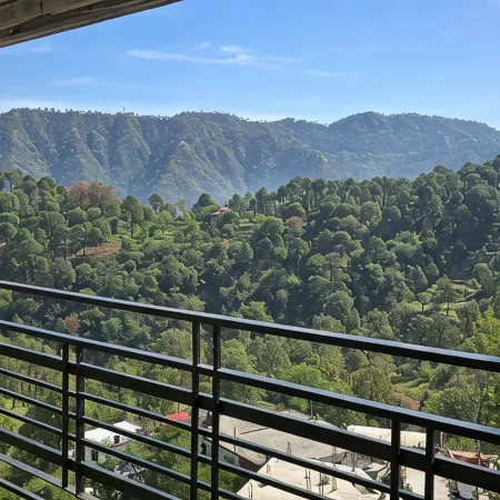 Dharvi Kasauli Heavens