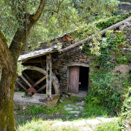 House of the Azereiro