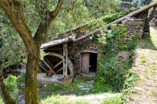 House of the Azereiro - Mountain View