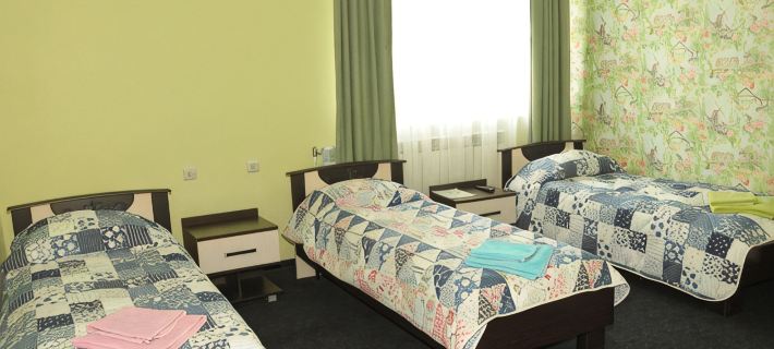 Small Hotel Hotels in Smolensk