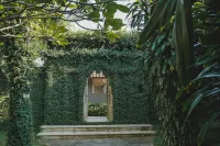 Coconut Lodge Resort - Villas