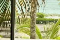 Bliss Ocean Beach 3-bedroom condo, Whitby, North Caicos. - Wi-Fi