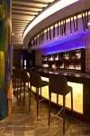 Radisson Blu Plaza Resort and Spa Karjat - bar