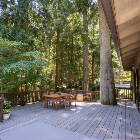 Bridle Trails Treehouse