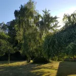 Belle Demeure Picarde Avec son Parc de 5000m2 - บังกะโล
