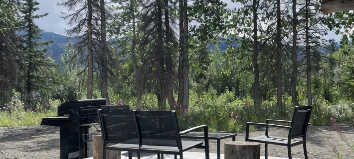 Modern Rustic Cabin with Denali View Hôtels à&nbsp;: Denali