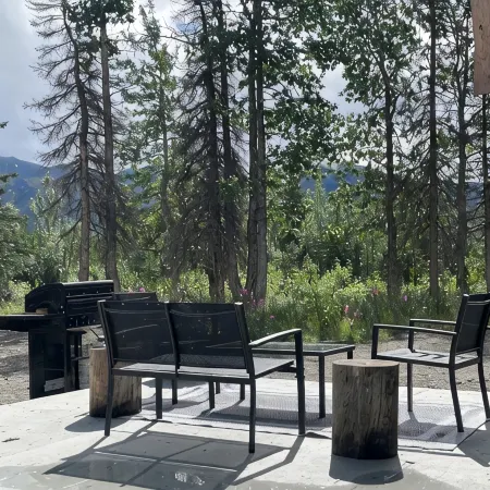 Modern Rustic Cabin with Denali View