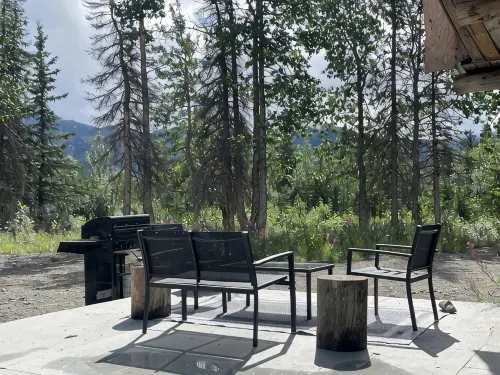 Modern Rustic Cabin with Denali View - Boutique