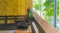 Jecheon Four Seasons Pension - Bintang 2