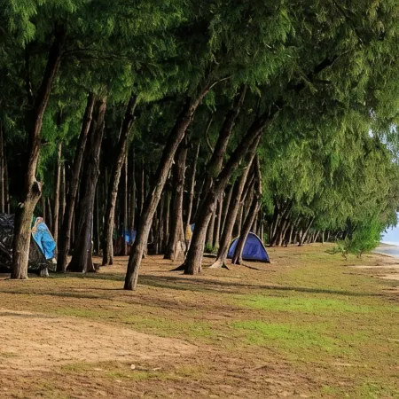 Pilton Resort