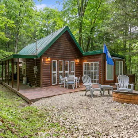 Fern Gulley Cabin with Hot Tub, Pet Friendly,  near DBBB / Hollerwood