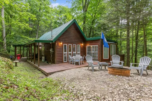 Fern Gulley Cabin with Hot Tub, Pet Friendly,  near DBBB / Hollerwood - Chalets