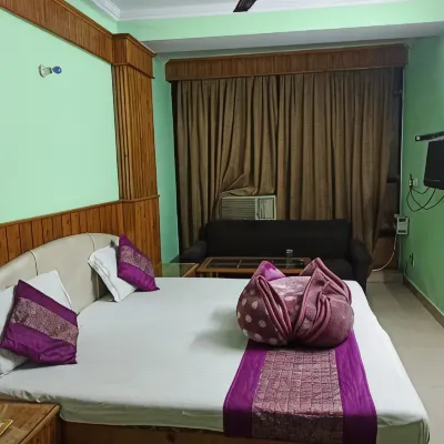 Hotel Delhi Regency Hotels near Sadar Bazaar