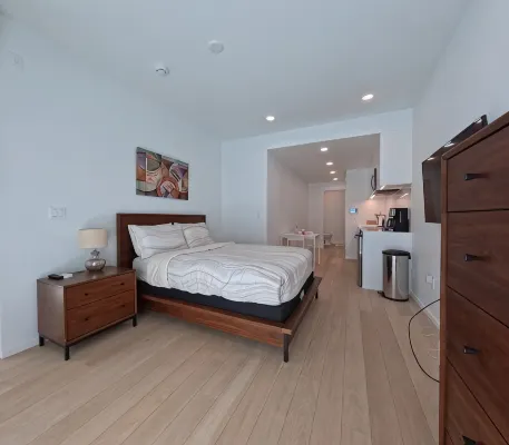 Charming  brand new studio close to downtown with WiFi, AC. - Condos