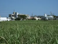 Akachichi Guesthouse - Hostels