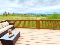 Pet Friendly cabin w/ fireplace and mountain views