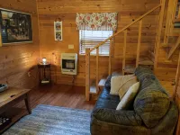 Cozy cabin in the woods. Peaceful and only 15 minutes to Mountain View. Hotels in Stone County