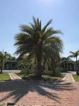 Apollo Inn - Cocoa - Motels