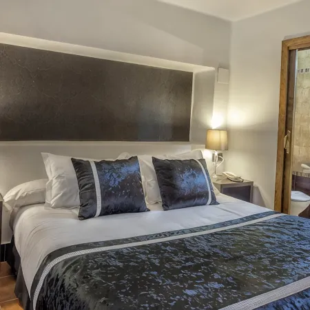 Hotel Rosaleda Don Pedro Отели в г. Убеда