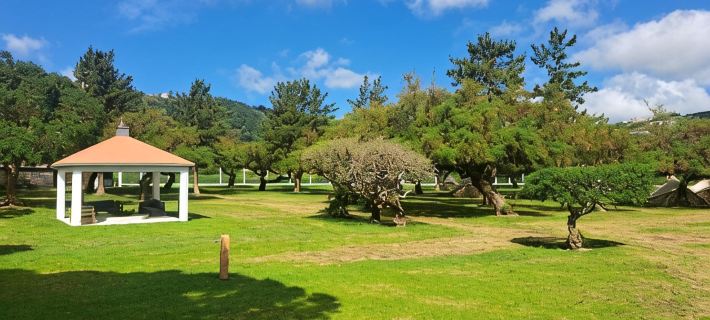 Bearsu Nature Almoxarife Hotels in Faial