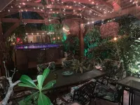 Captin' Joe's Tropical Palm Beach Hot Tub Hideaway - Apartments