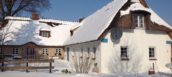 Pure idyll in a secluded location under the thatch at the edge of the forest Hoteles en Distrito de Schleswig-Flensburg